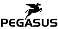 Pegasus